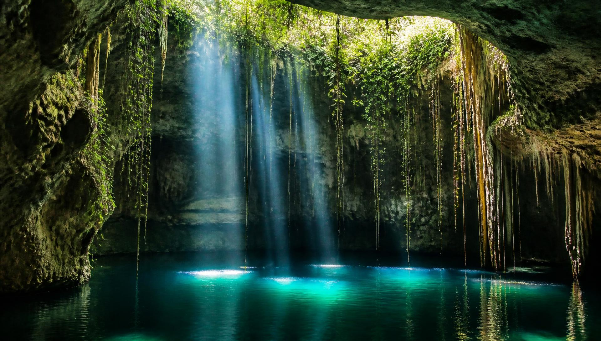 Sunlight falling through vines into the teal water of a cenote